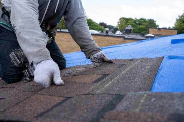 Roof Waterproofing Services in Vermilion, OH